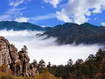 南京神农架：秘境之旅，云海奇观，草原牧歌，探寻世外桃源